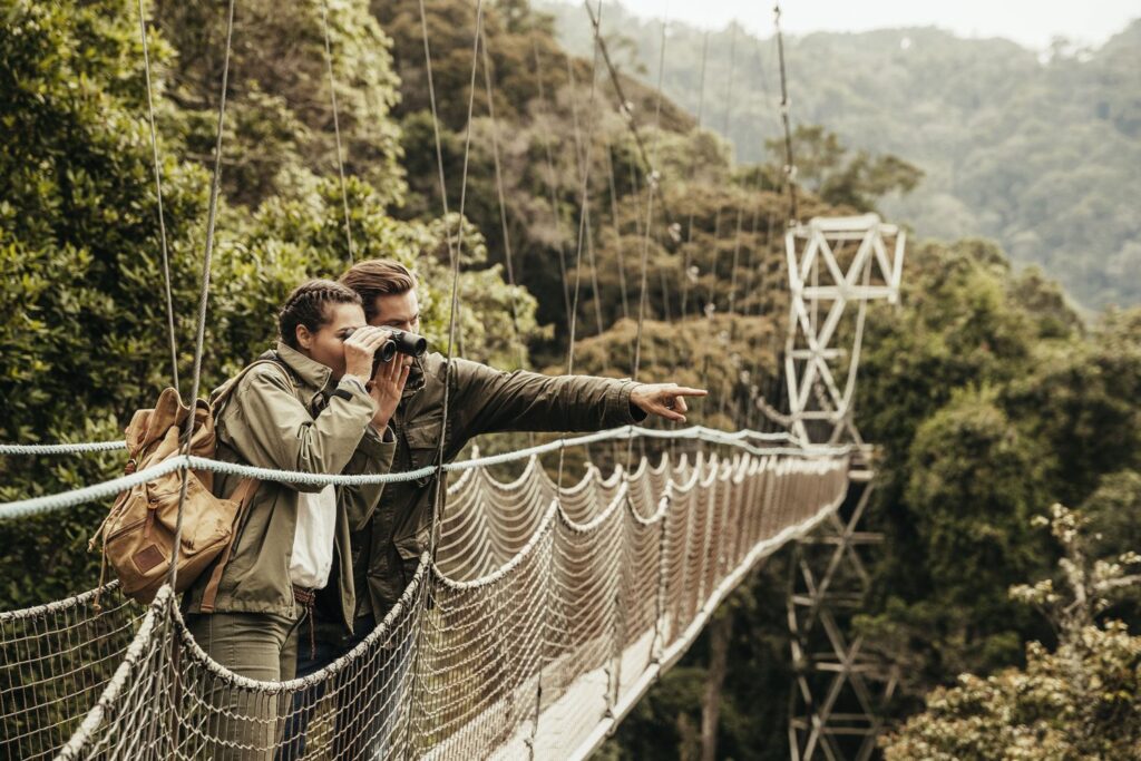 Nyungwe Canopy