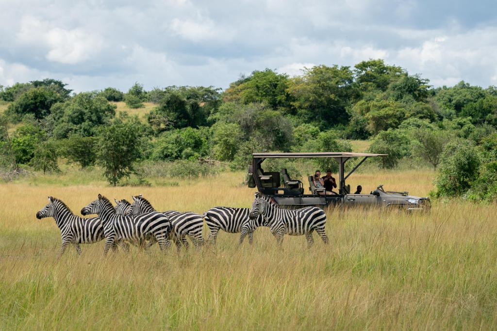 wildlife-in-akagera