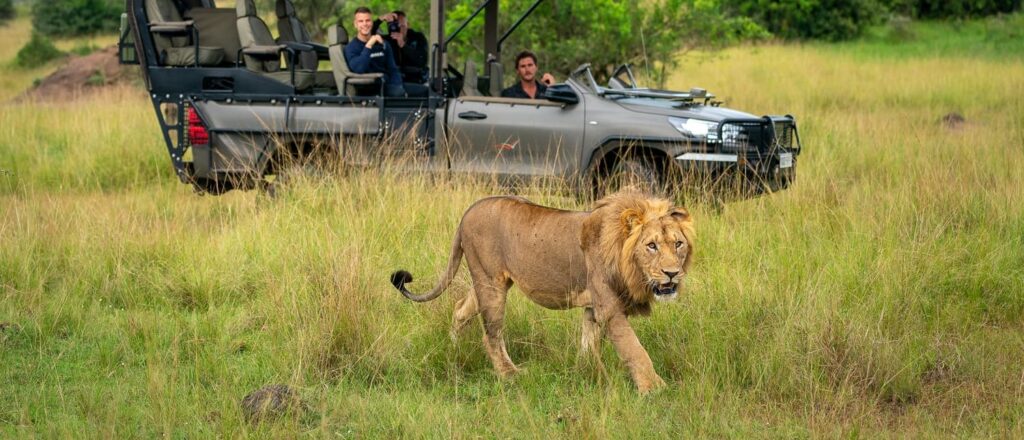 Lion-viewing-in-Akagera-National-Park-photo-courtesy-of-Wilderness-Safaris (1)